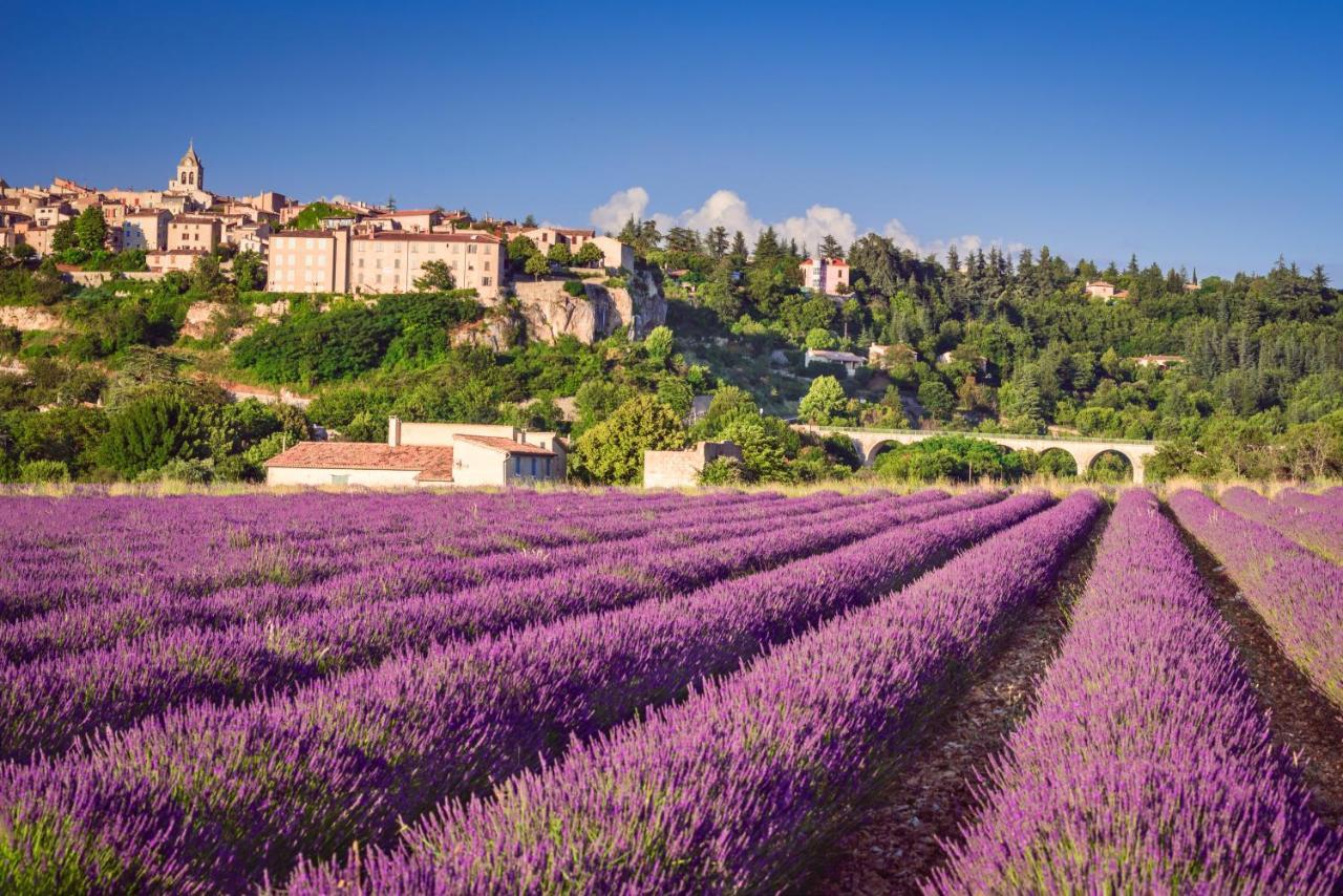 Provence Now Appartement Cabrières-dʼAvignon Buitenkant foto