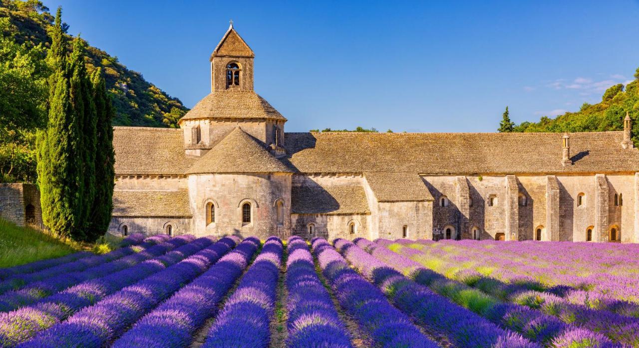 Provence Now Appartement Cabrières-dʼAvignon Buitenkant foto