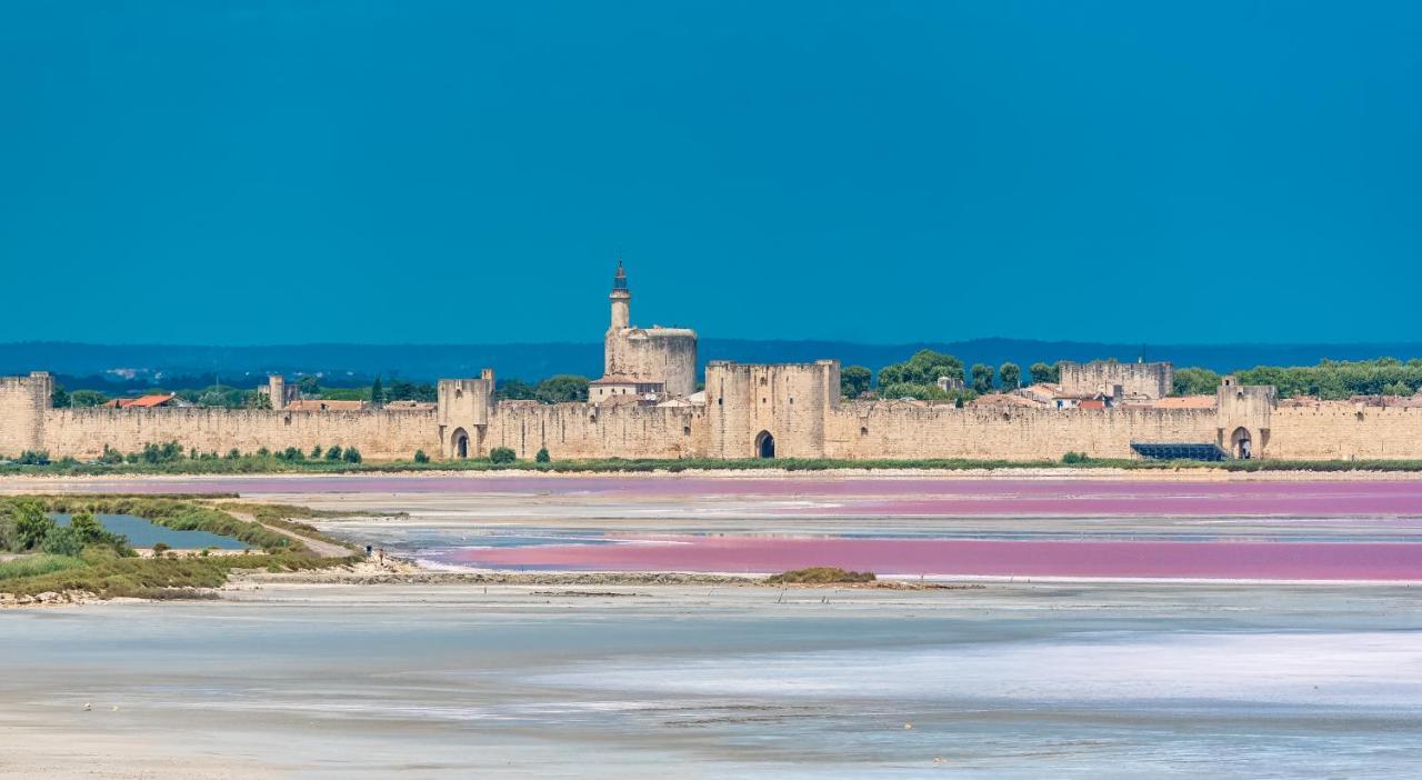 Provence Now Appartement Cabrières-dʼAvignon Buitenkant foto